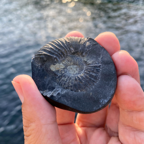 Shaligram | Sacred Stone of Lord Vishnu