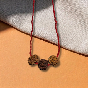 5-7-11 Mukhi Rudraksha Mala | Peace, Prosperity & Protection