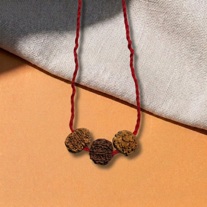 5-7-11 Mukhi Rudraksha Mala | Peace, Prosperity & Protection