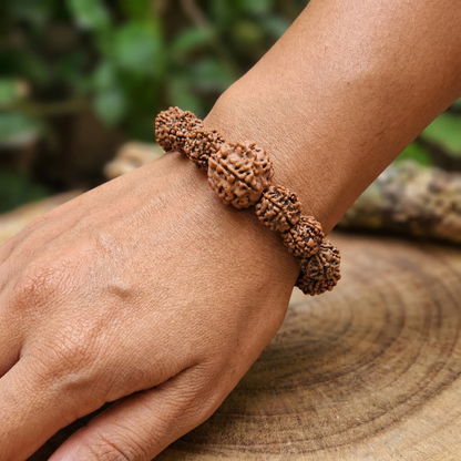 Nepali 4 Mukhi Rudraksha Magsnap Bracelet