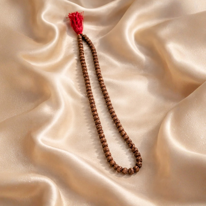 5 Mukhi Rudraksha Japa Mala | 108+1 Beads