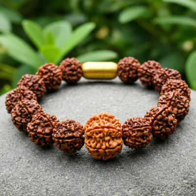 Nepali 6 Mukhi Rudraksha Bracelet | Natural & Lab Certified | For Wisdom, Expression & Willpower
