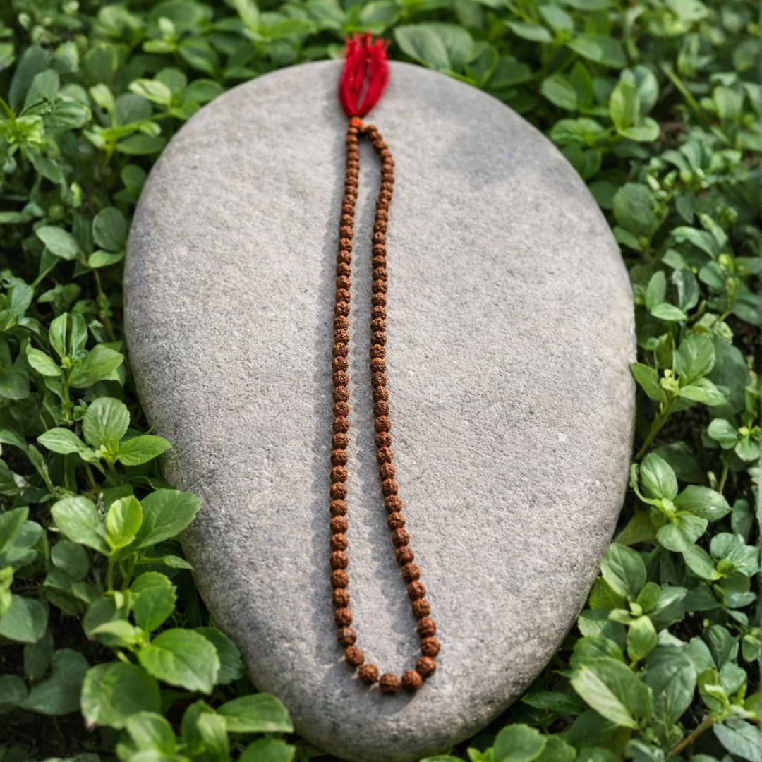 5 Mukhi Rudraksha Japa Mala | 108+1 Beads