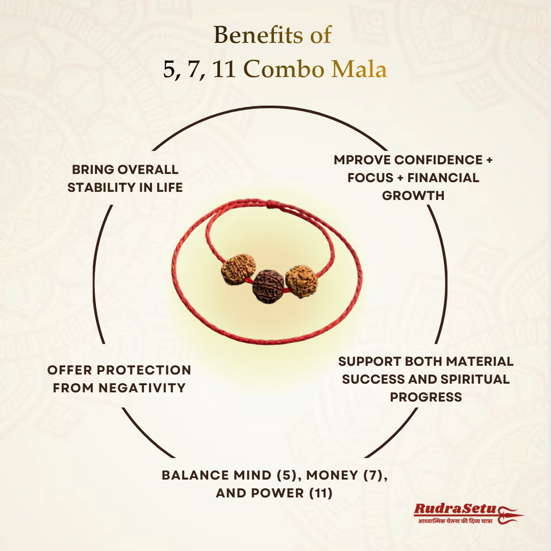 5-7-11 Mukhi Rudraksha Mala | Peace, Prosperity & Protection