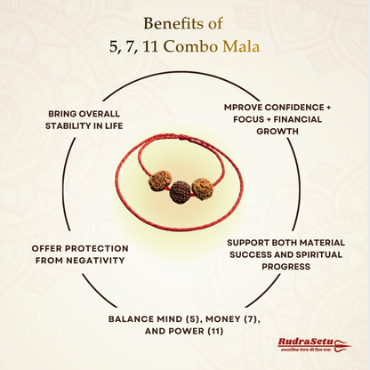 5-7-11 Mukhi Rudraksha Mala | Peace, Prosperity & Protection