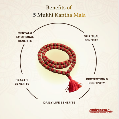 Nepali 5 Mukhi Rudraksha Kantha Mala (33 beads)