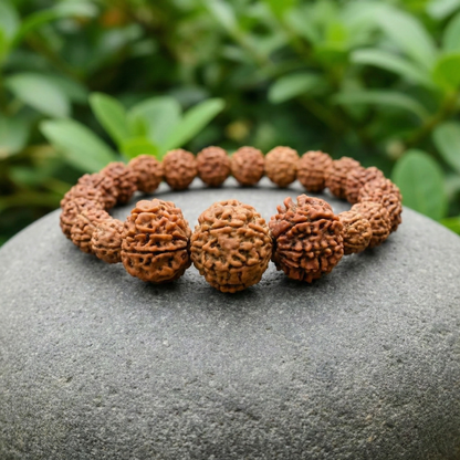 Evil Eye Rudraksha Bracelet (9-10-11 Mukhis)