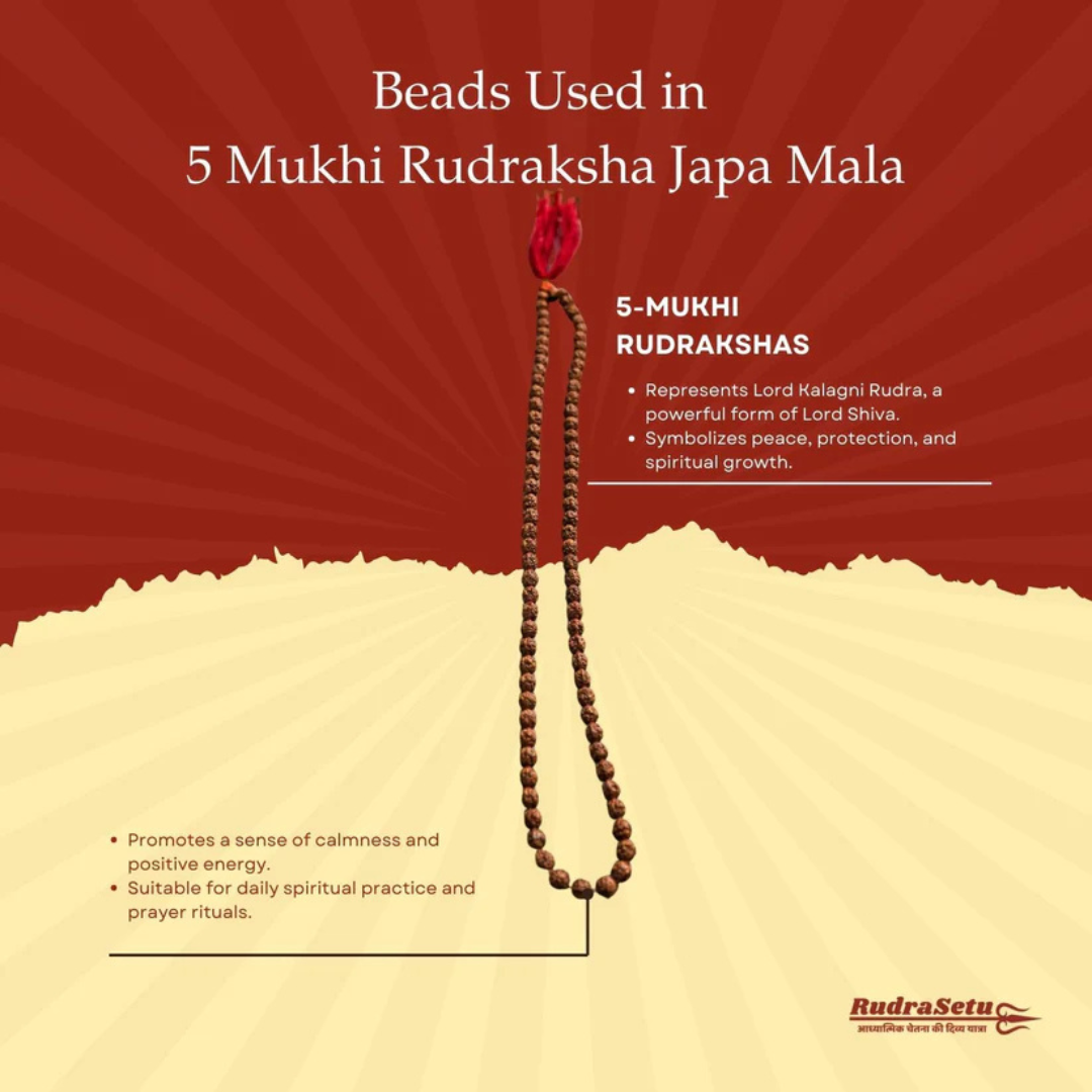 5 Mukhi Rudraksha Japa Mala | 108+1 Beads