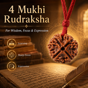 Nepali 4 Mukhi Rudraksha | Asli Char Mukhi