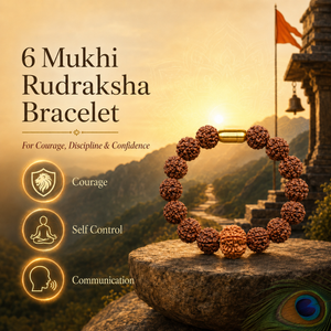 6 Mukhi Rudraksha Bracelet with mountain and temple background