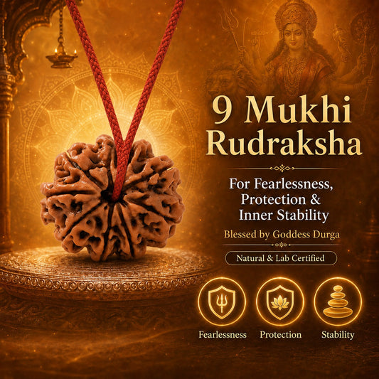 Nepali 9 Mukhi Rudraksha | Asli Nau Mukhi