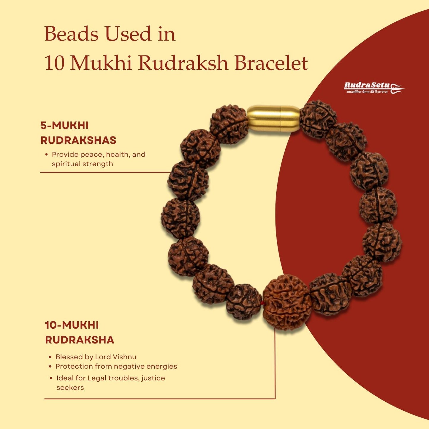 Nepali 10 Mukhi Rudraksha Magsnap Bracelet