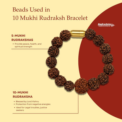 Nepali 10 Mukhi Rudraksha Magsnap Bracelet