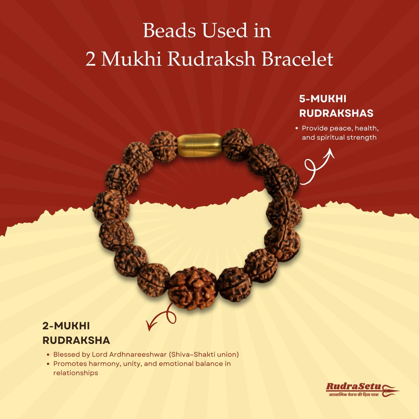 Indian 2 Mukhi Rudraksha Magsnap Bracelet
