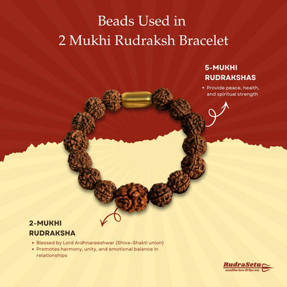 Indian 2 Mukhi Rudraksha Magsnap Bracelet
