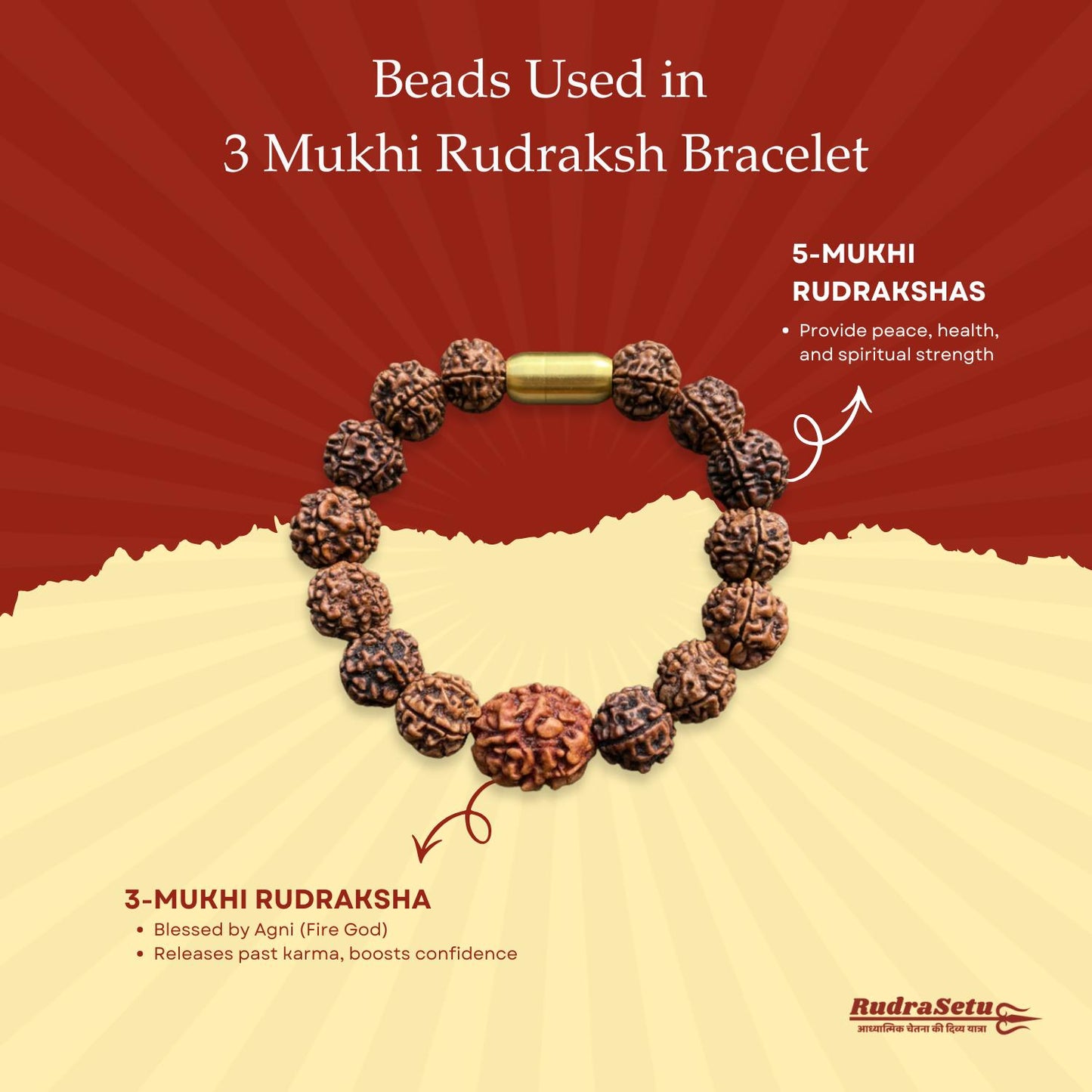 Nepali 3 Mukhi Rudraksha Magsnap Bracelet