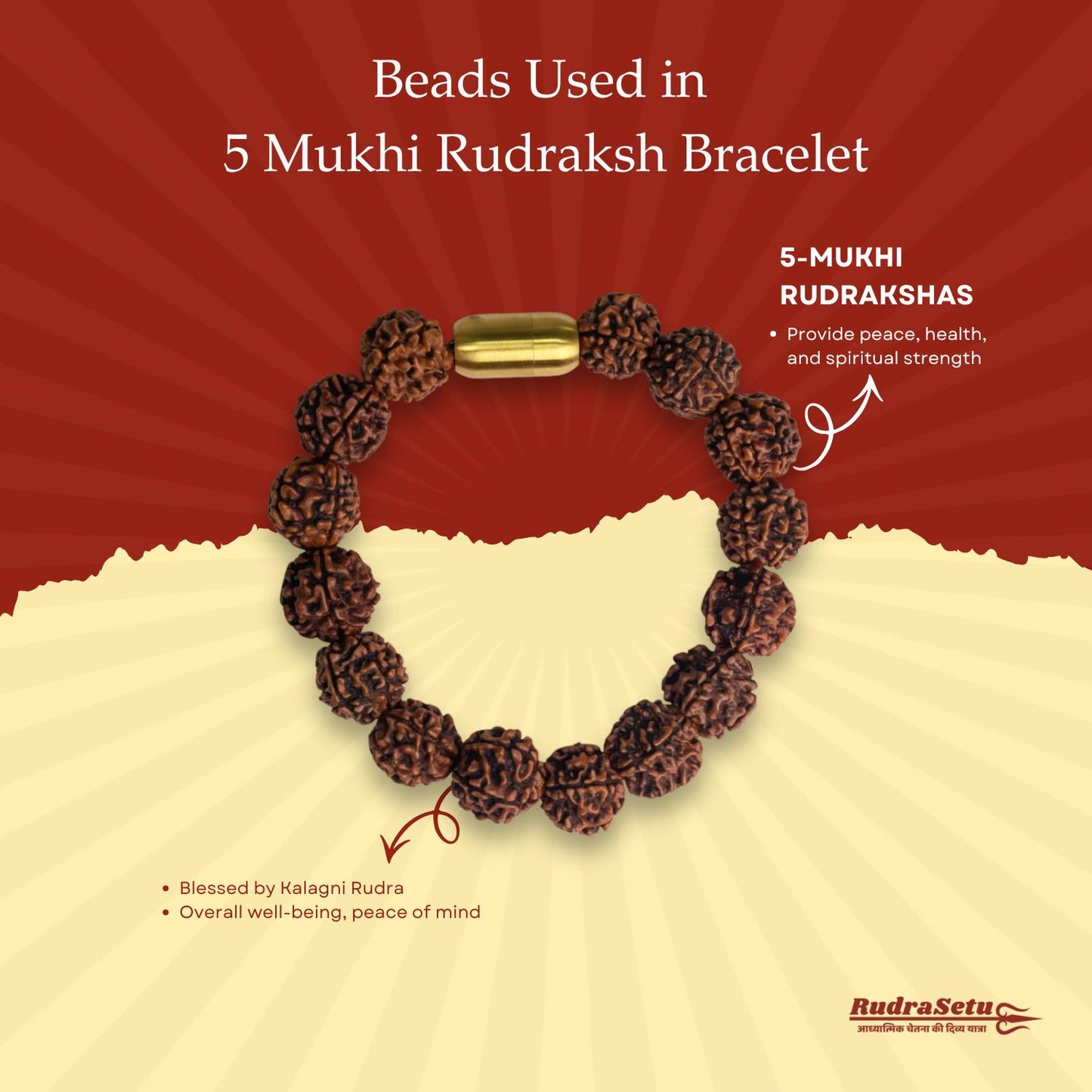 Nepali 5 Mukhi Rudraksha Magsnap Bracelet