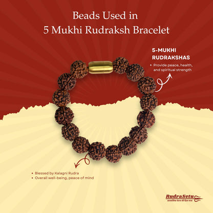 Nepali 5 Mukhi Rudraksha Magsnap Bracelet