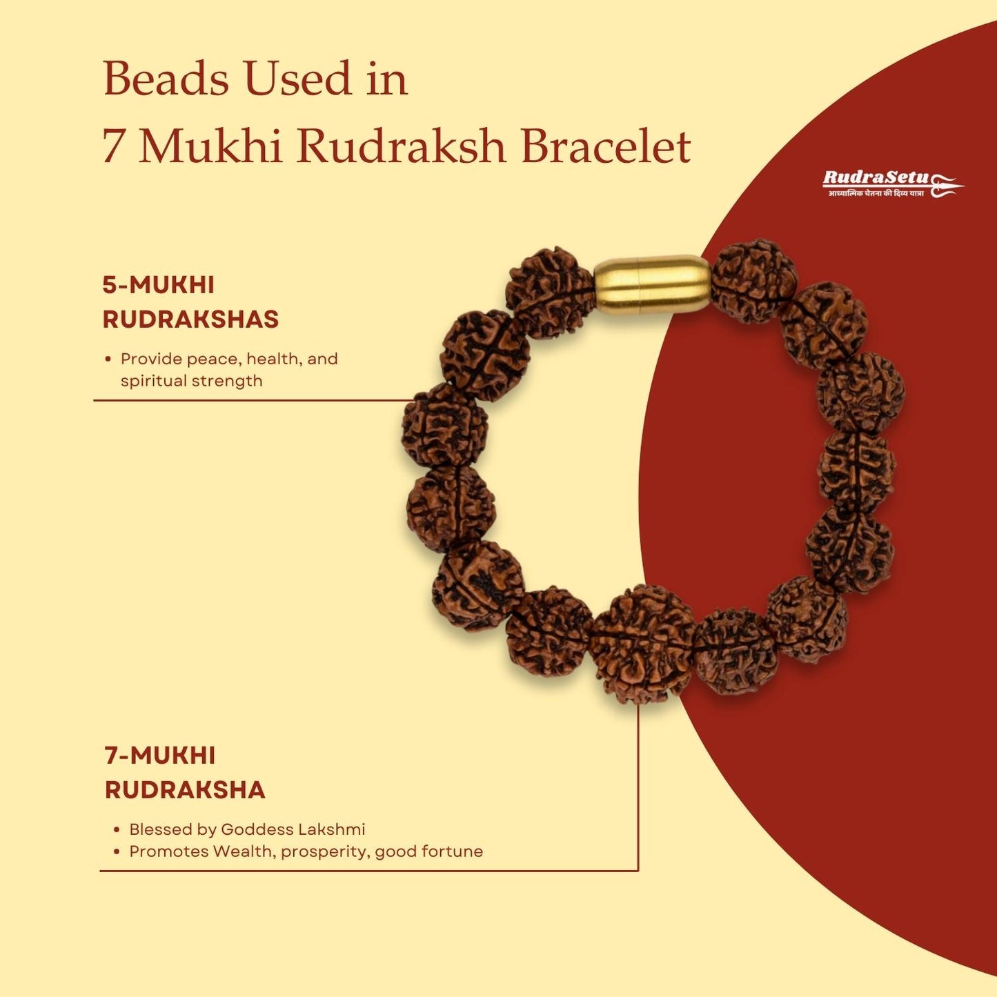 Nepali 7 Mukhi Rudraksh  Bracelet | Natural & Lab Certified | For Wealth, Success & Stability