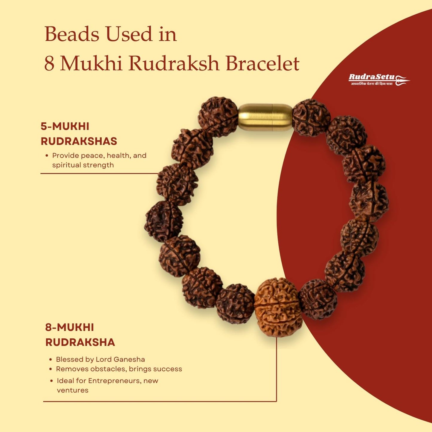 Nepali 8 Mukhi Rudraksha Magsnap Bracelet