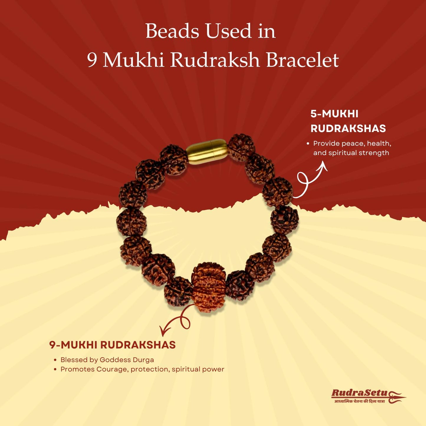 Nepali 9 Mukhi Rudraksha Magsnap Bracelet