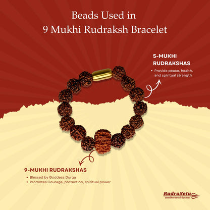 Nepali 9 Mukhi Rudraksha Magsnap Bracelet
