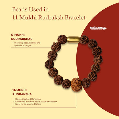 Nepali 11 Mukhi Rudraksha Magsnap Bracelet