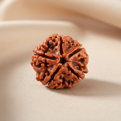 Nepali 5 Mukhi Rudraksha | Natural & Lab Certified | For Meditation, Health & Spiritual Growth