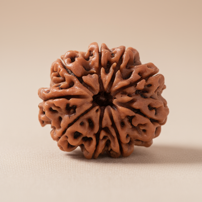 Nepali 9 Mukhi Rudraksha | Natural & Lab Certified | For Bravery, Protection & Victory over Fear