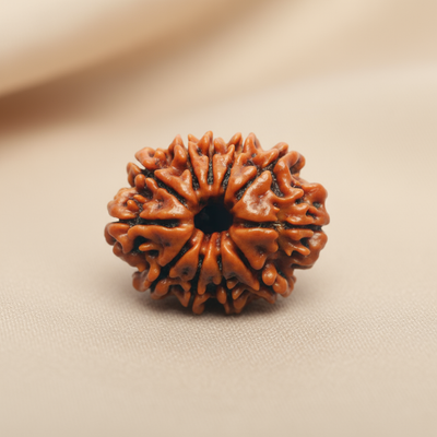 Nepali 11 Mukhi Rudraksha | Natural & Lab Certified | For Fearlessness, Strength & Divine Protection