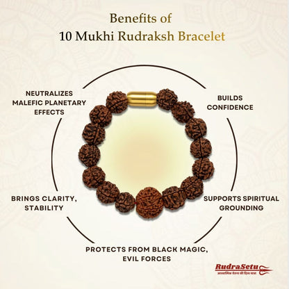 Nepali 10 Mukhi Rudraksha Magsnap Bracelet
