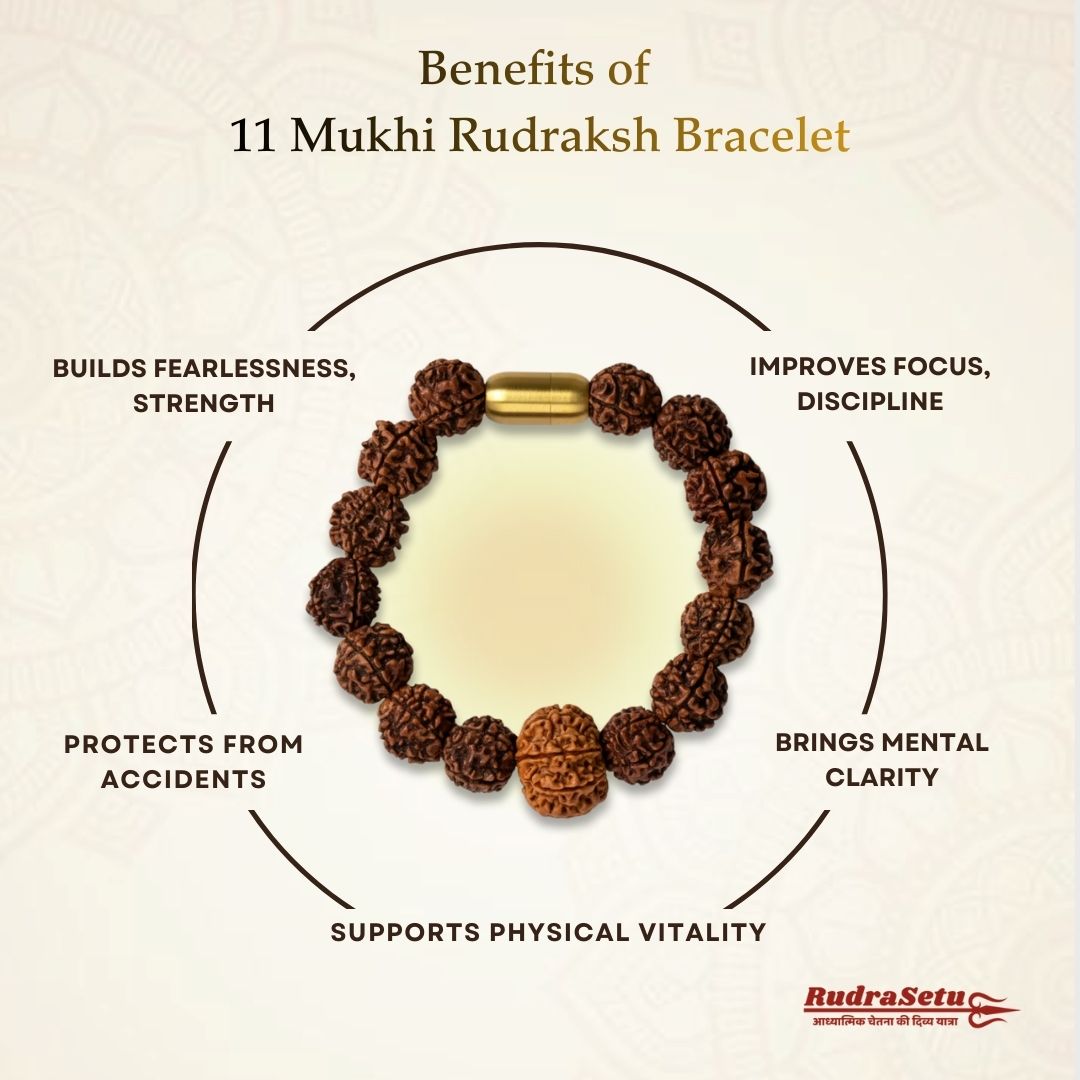 Nepali 11 Mukhi Rudraksha Magsnap Bracelet