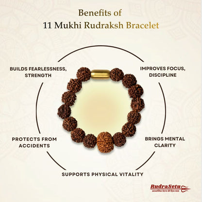 Nepali 11 Mukhi Rudraksha Magsnap Bracelet