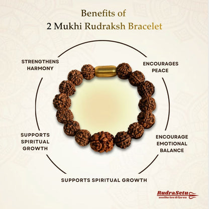Indian 2 Mukhi Rudraksha Magsnap Bracelet