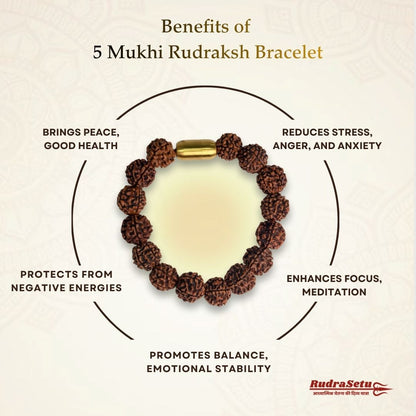 Nepali 5 Mukhi Rudraksha Magsnap Bracelet