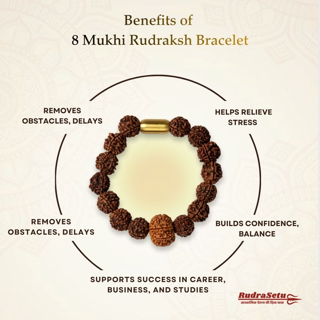 Nepali 8 Mukhi Rudraksha Magsnap Bracelet