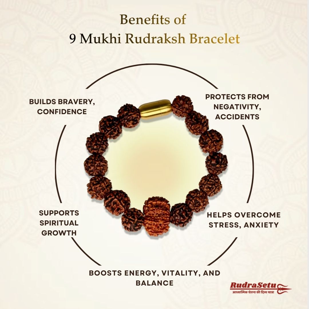 Nepali 9 Mukhi Rudraksha Magsnap Bracelet