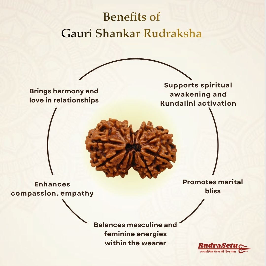 Nepali Gauri Shankar Rudraksha | Asli Gauri Shankar