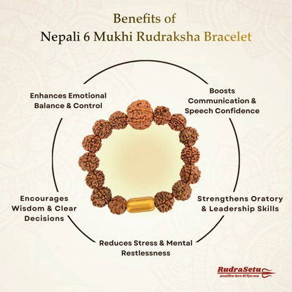 Nepali 6 Mukhi Rudraksha Magsnap Bracelet