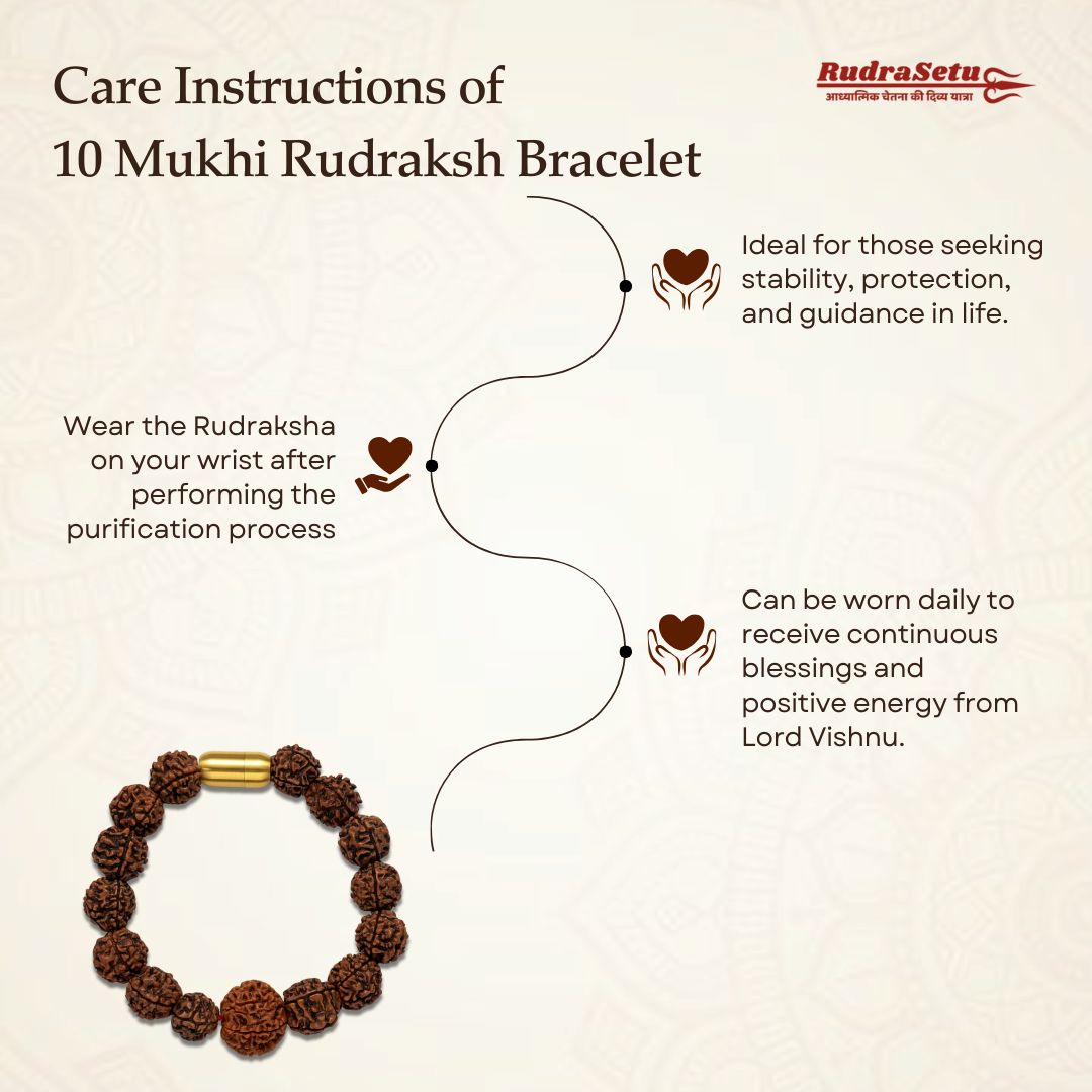 Nepali 10 Mukhi Rudraksha Magsnap Bracelet