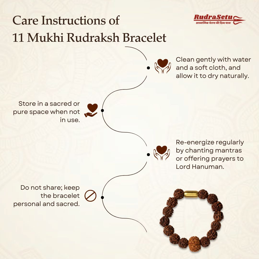 Nepali 11 Mukhi Rudraksha Magsnap Bracelet