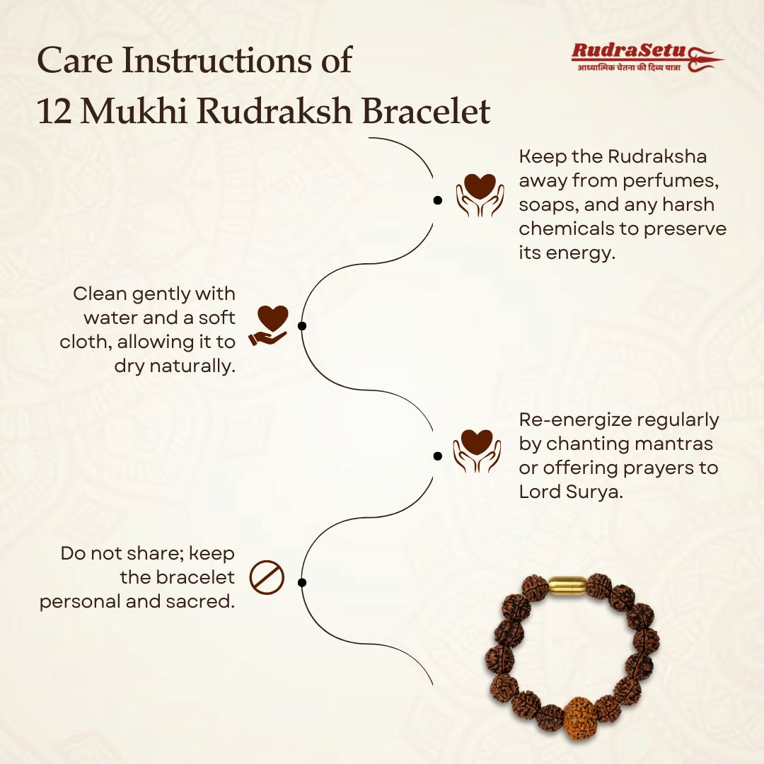 Nepali 12 Mukhi Rudraksha Magsnap Bracelet