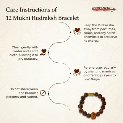 Nepali 12 Mukhi Rudraksha Magsnap Bracelet