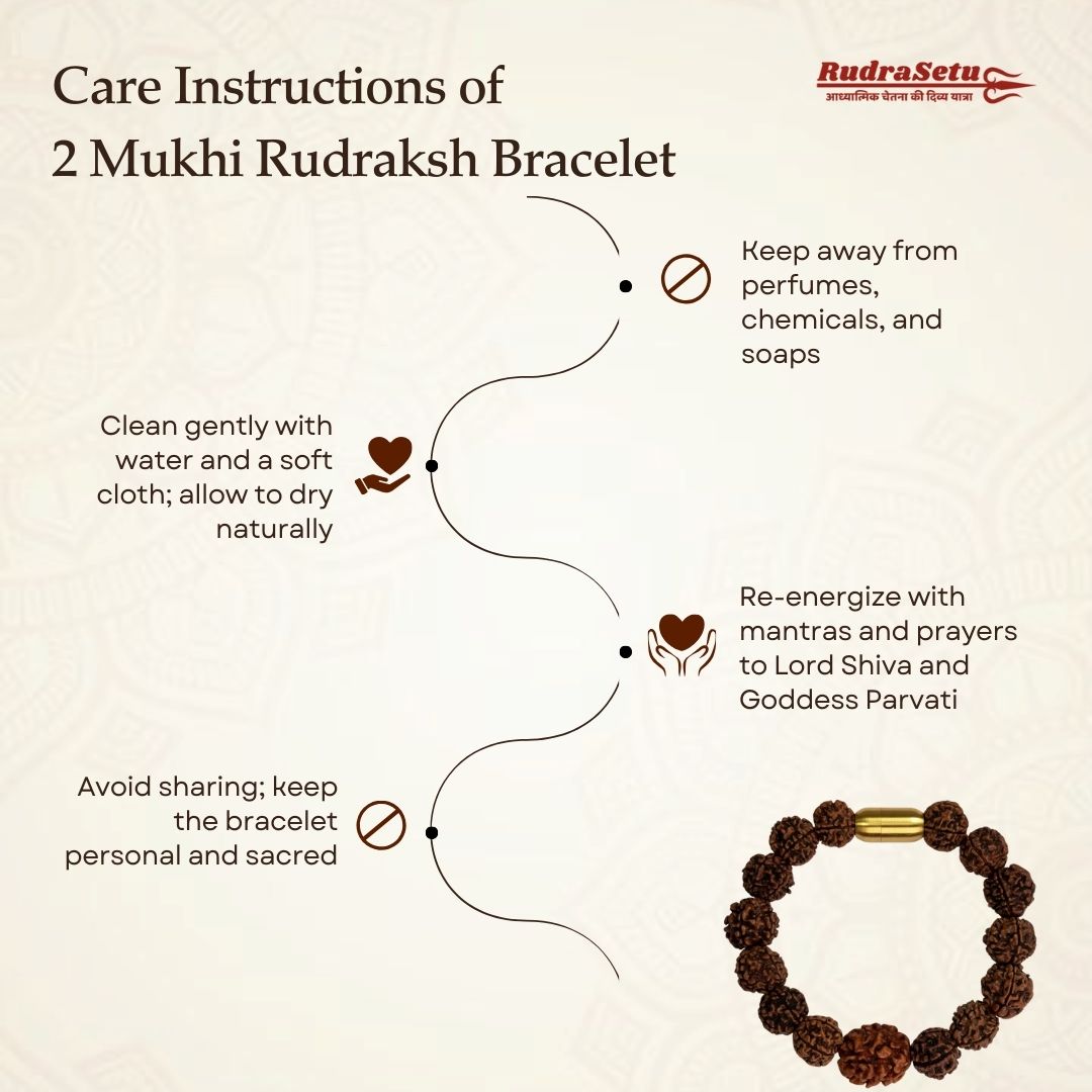 Indian 2 Mukhi Rudraksha Magsnap Bracelet
