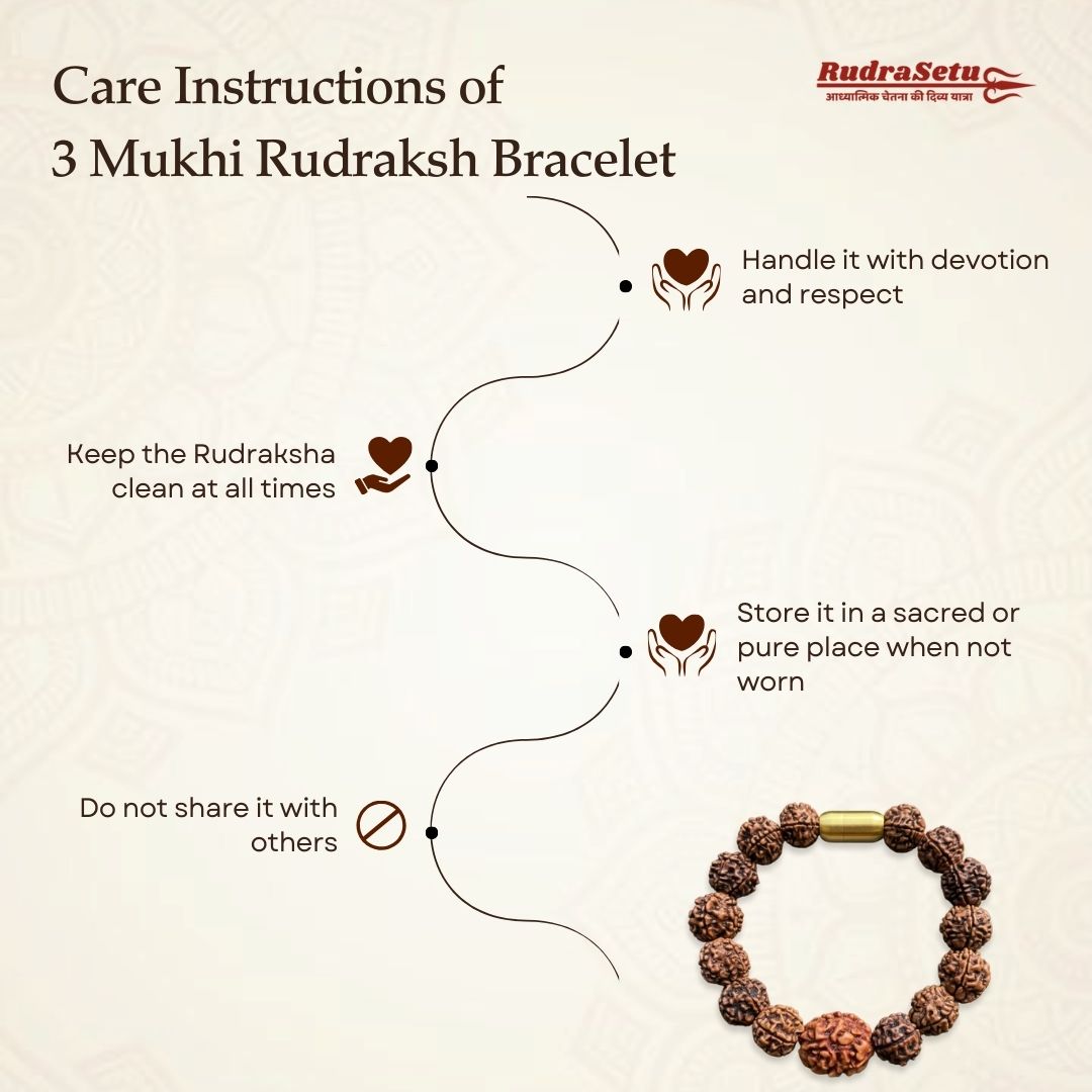 Nepali 3 Mukhi Rudraksha Magsnap Bracelet