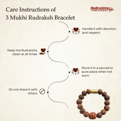 Nepali 3 Mukhi Rudraksha Magsnap Bracelet