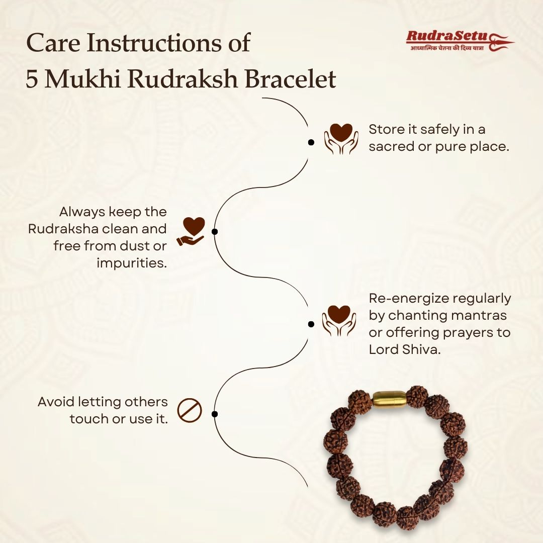 Nepali 5 Mukhi Rudraksha Magsnap Bracelet