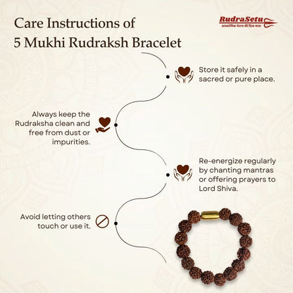 Nepali 5 Mukhi Rudraksha Magsnap Bracelet
