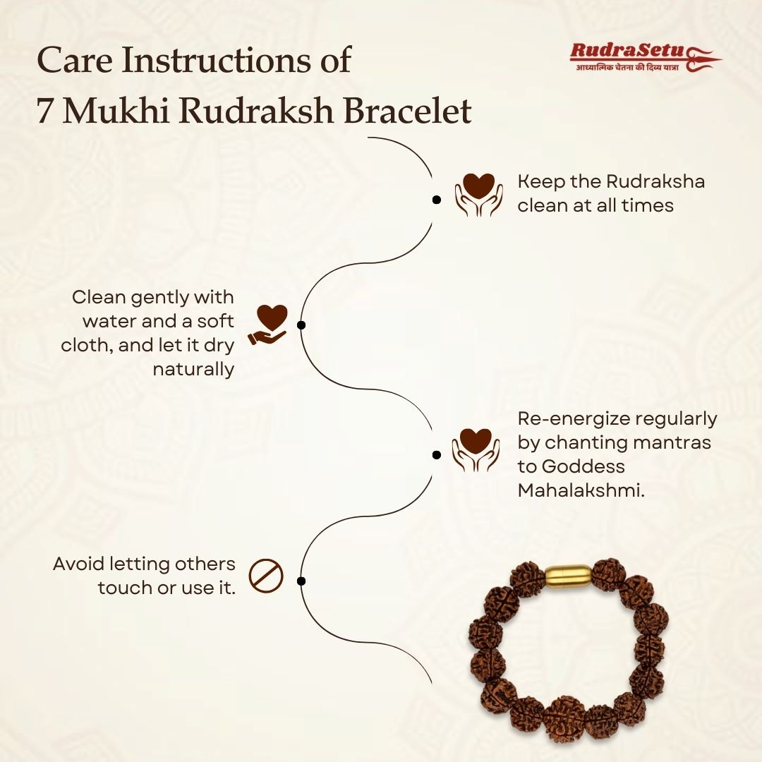 Nepali 7 Mukhi Rudraksh  Bracelet | Natural & Lab Certified | For Wealth, Success & Stability