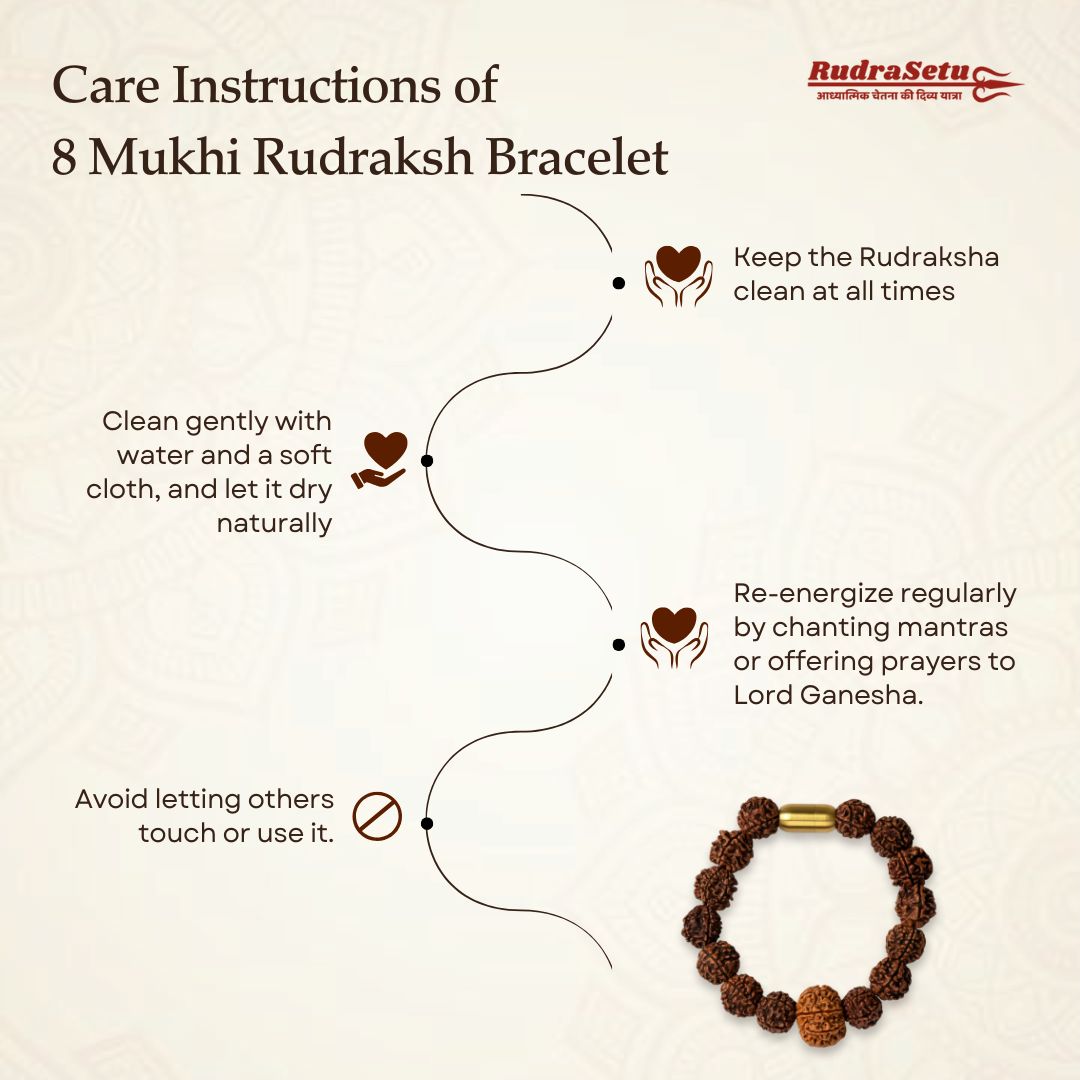 Nepali 8 Mukhi Rudraksha Magsnap Bracelet
